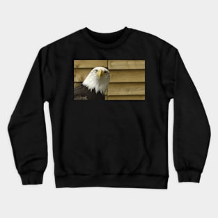 Curious Bald Eagle Crewneck Sweatshirt